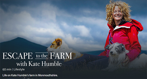 Escape to the Farm, location sound recording from the Royal Welsh Sowground.